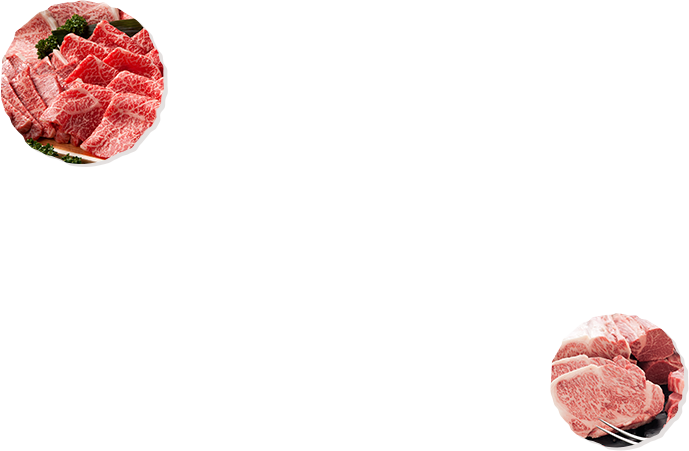 肉イメージ