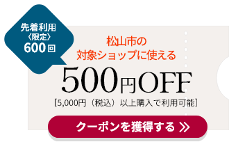 先着利用600回500円OFFクーポン